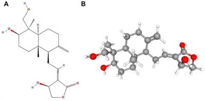 Andrographolide, a natural anti-inflammatory agent: An Update